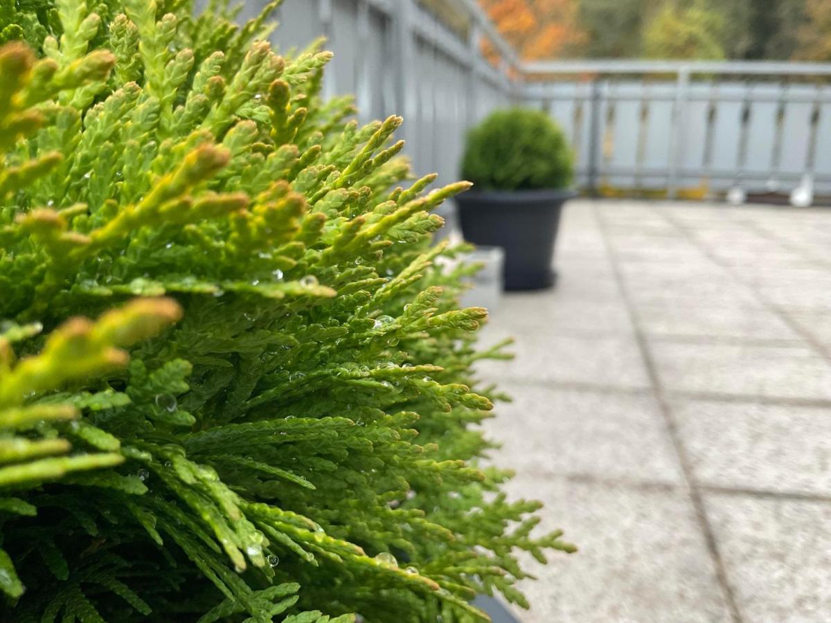 Ferienwohnung Schwarzwald Tannenzaepfle バイアースブロン エクステリア 写真