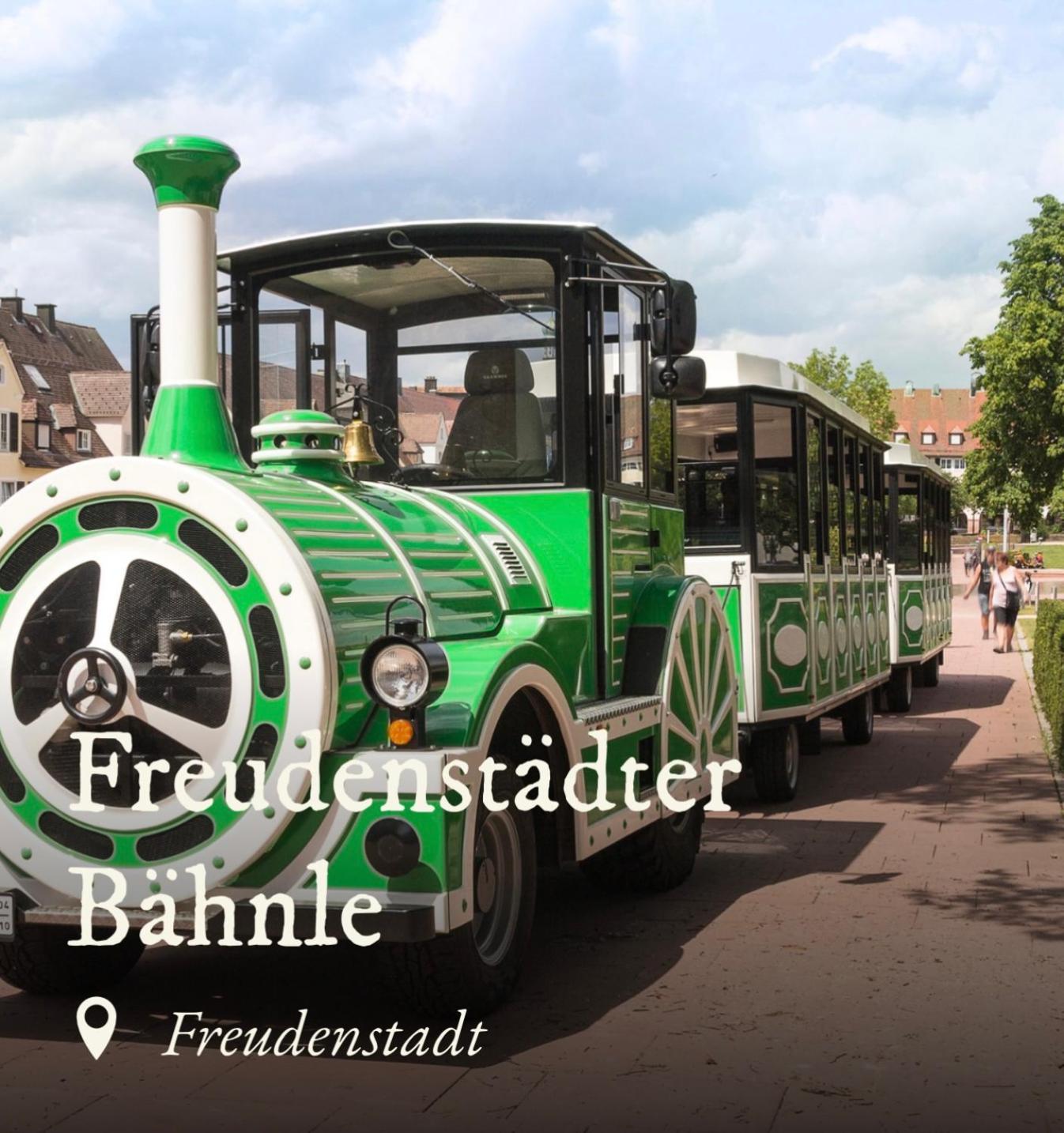 Ferienwohnung Schwarzwald Tannenzaepfle バイアースブロン エクステリア 写真