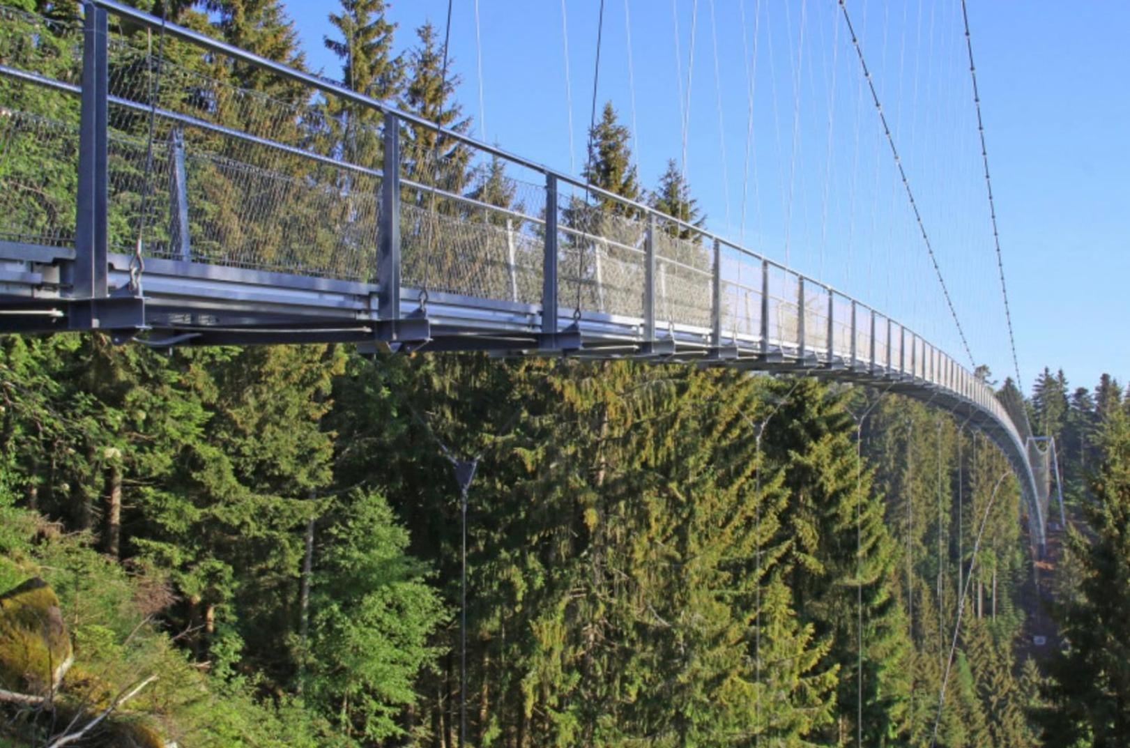 Ferienwohnung Schwarzwald Tannenzaepfle バイアースブロン エクステリア 写真