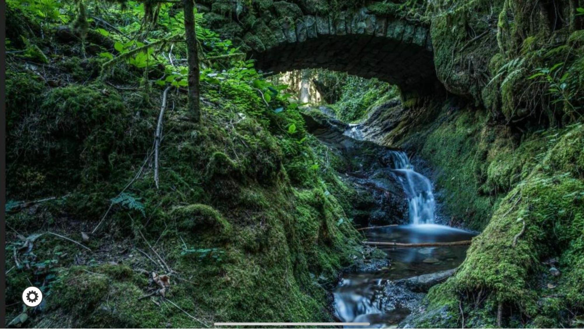 Ferienwohnung Schwarzwald Tannenzaepfle バイアースブロン エクステリア 写真