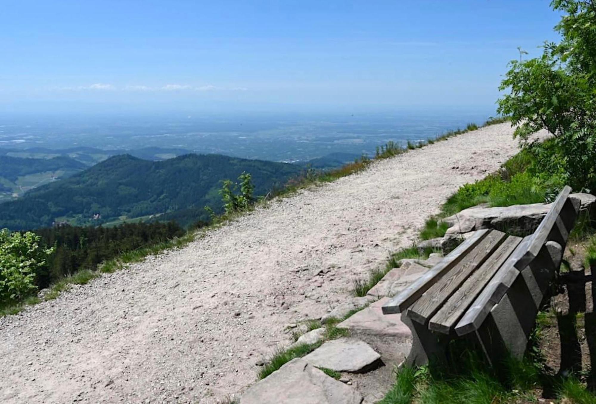 Ferienwohnung Schwarzwald Tannenzaepfle バイアースブロン エクステリア 写真